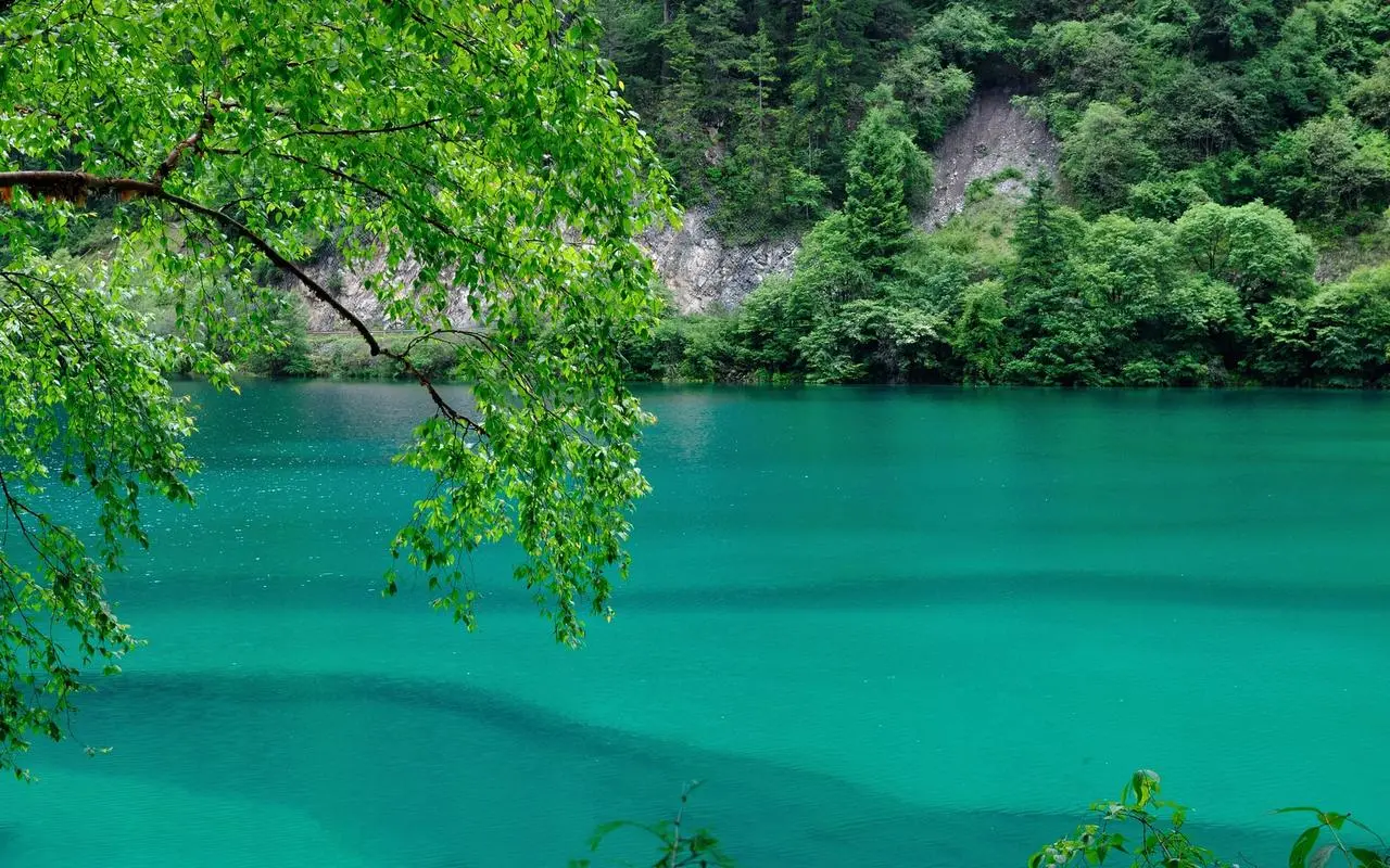 先进新型